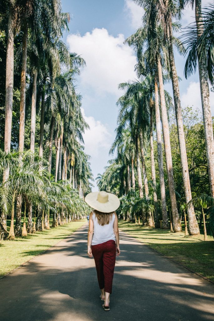 promenade dans le jardin botanique