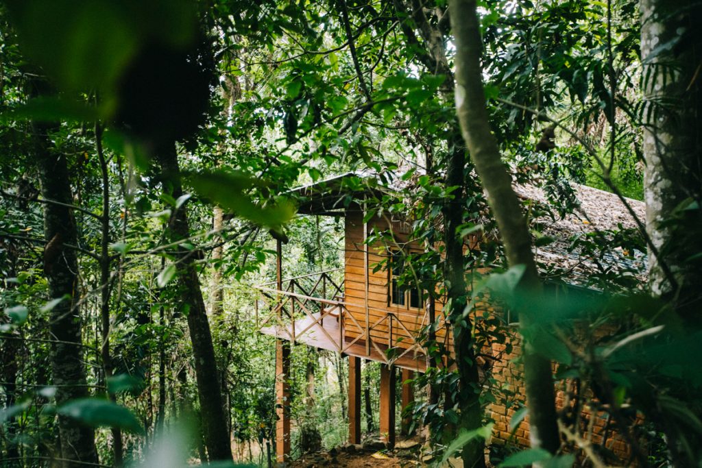 toruve run Ecolodge pour son voyage au Sri Lanka