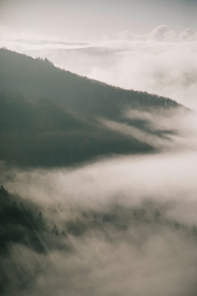 la vue sur le parc national d'Eifel depuis le chateau de Niddegen