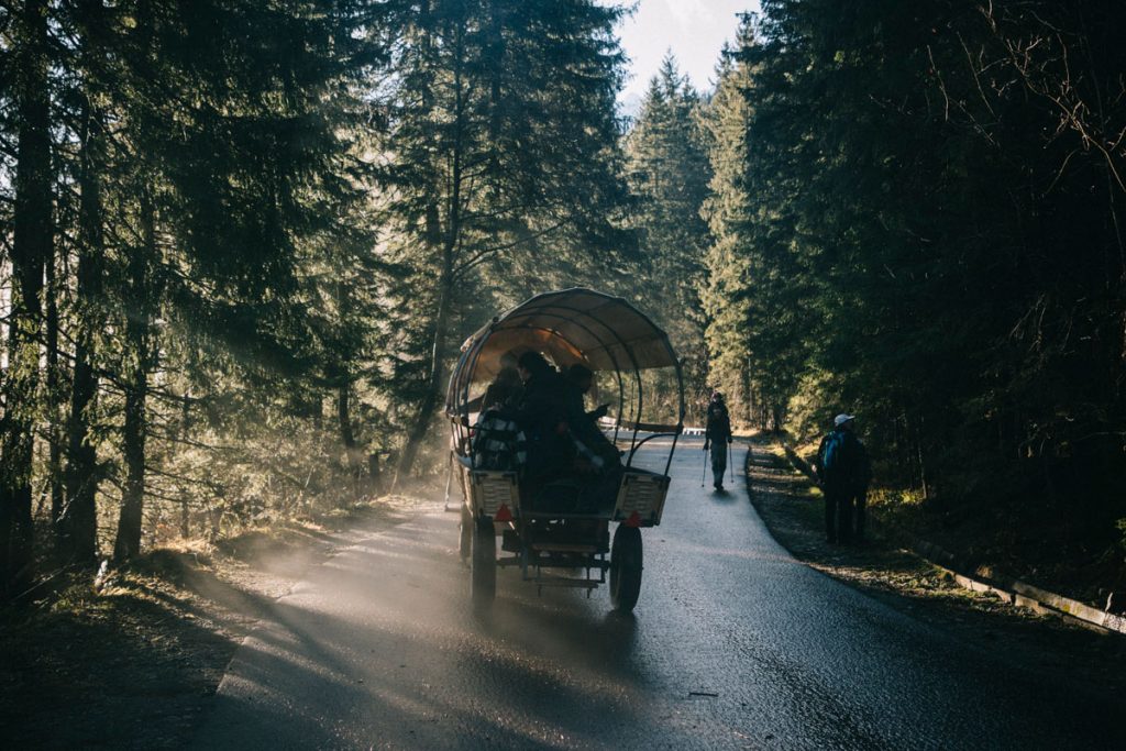 les calèche pour les touristes sur le sentier du lac Morskie Oko