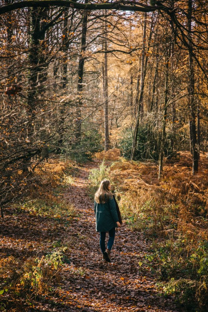 à la découverte des sentiers de randonnée dans le parc national d'Eilfel