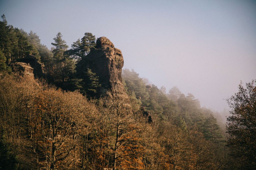  les rochers en grès dans le parc national d'Eifel