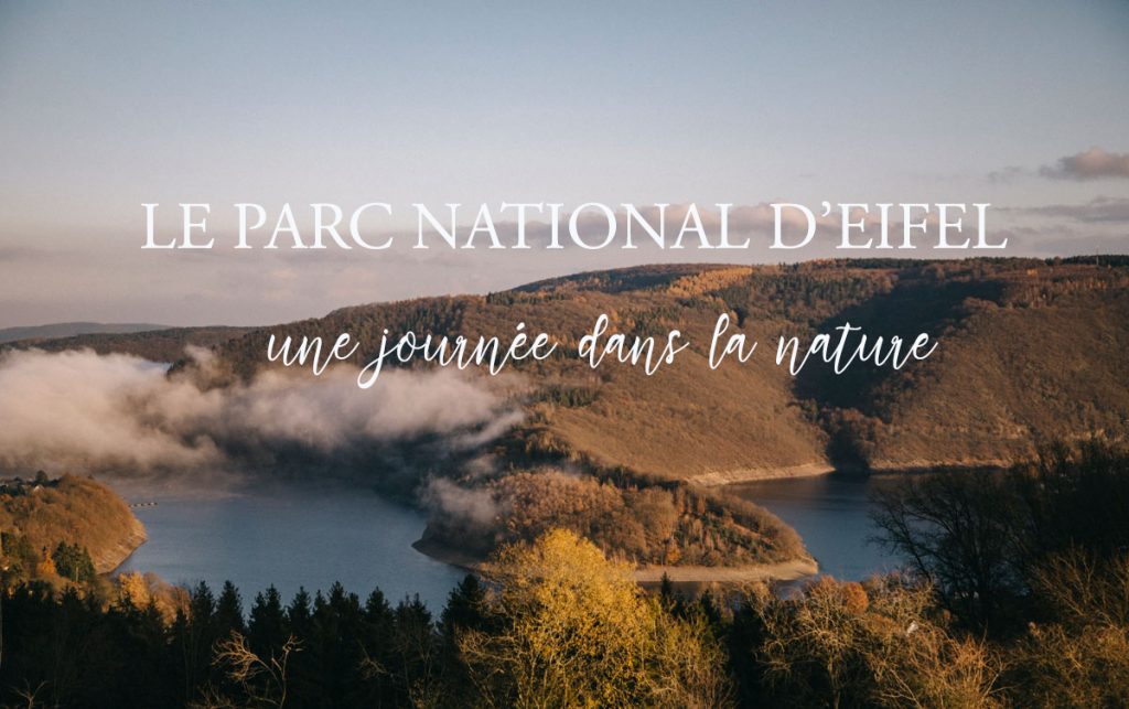 à la découverte du parc national d'Eifel en Allemagne
