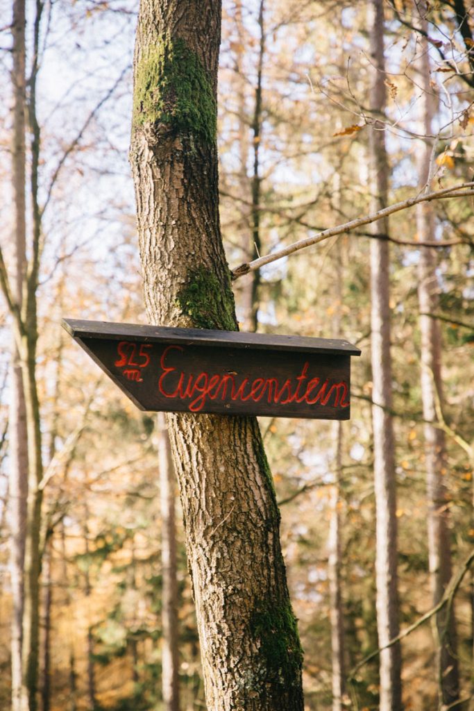 sentier de randonnée pour une journée dans le parc national d'Eifel