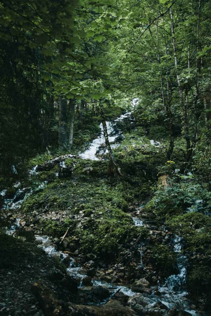 La nature de la Haute-Autriche pendant une randonnée au lac de Gosausee