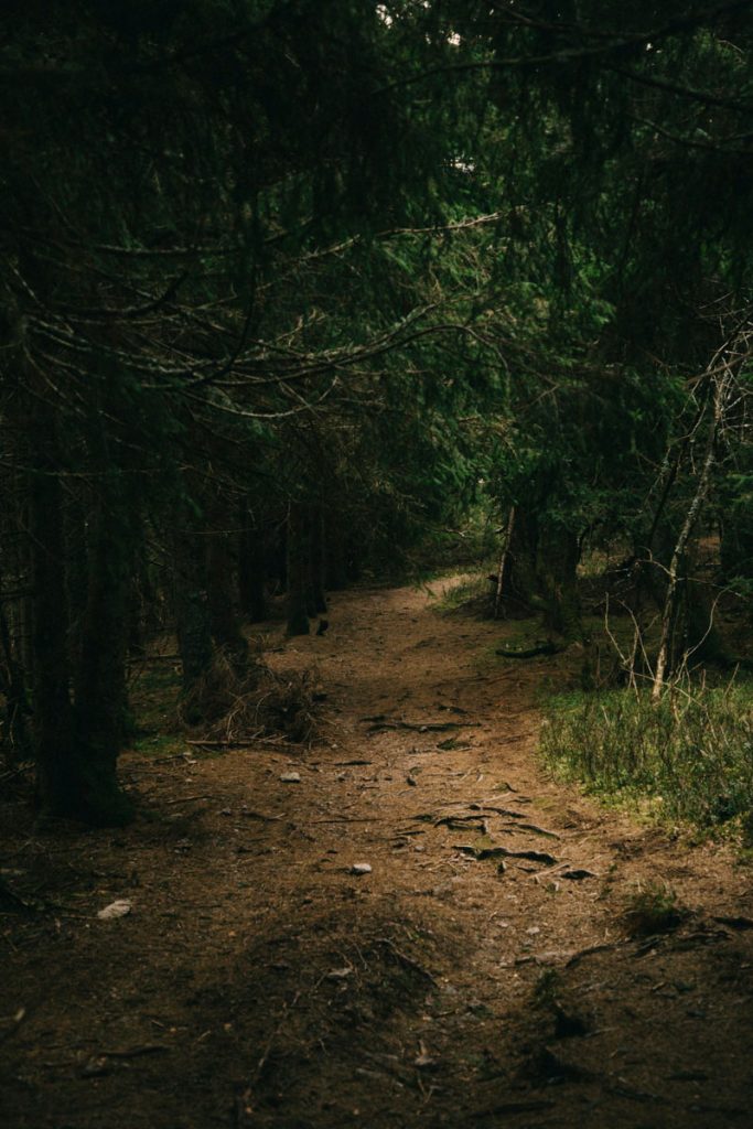 le descente d l'enfer vers le Plat depuis le grand brézouard