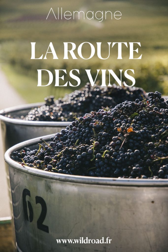 La route des vins en Allemagne : dégustation de vins et vélo