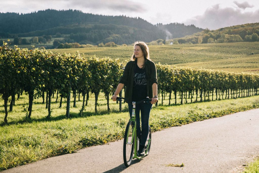 le vélo trottinette dans les vignobles de la route des vins