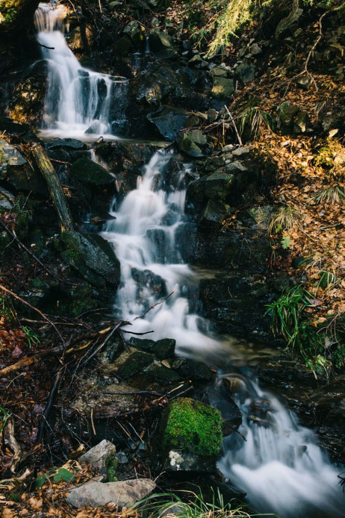 cascade le long du chemin dans la forêt domaniale de Guebwiller