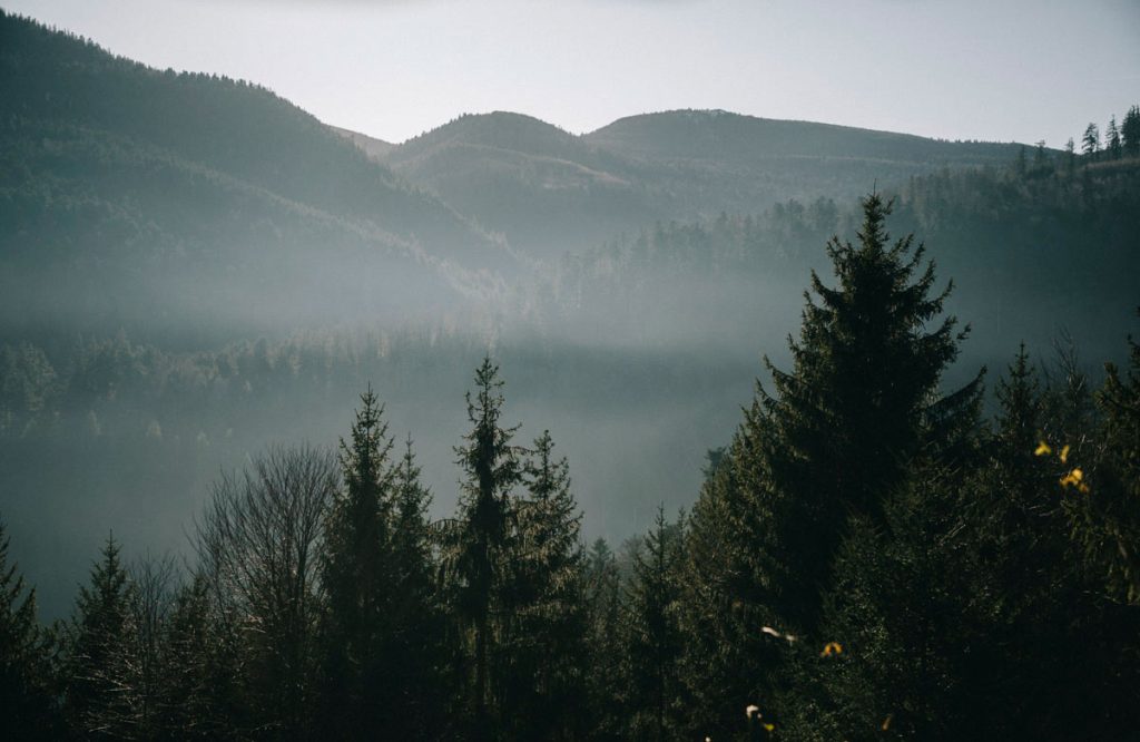 Paysage du massif des Vosges en Alsace