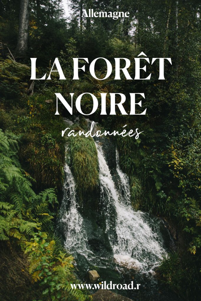 les plus belles randonnées de la Fôret Noire à ne pas manquer lors de votre séjour en Allemagne