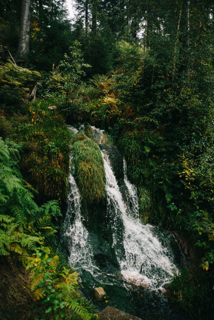 une cascade sur un chemin de la Forêt Noire