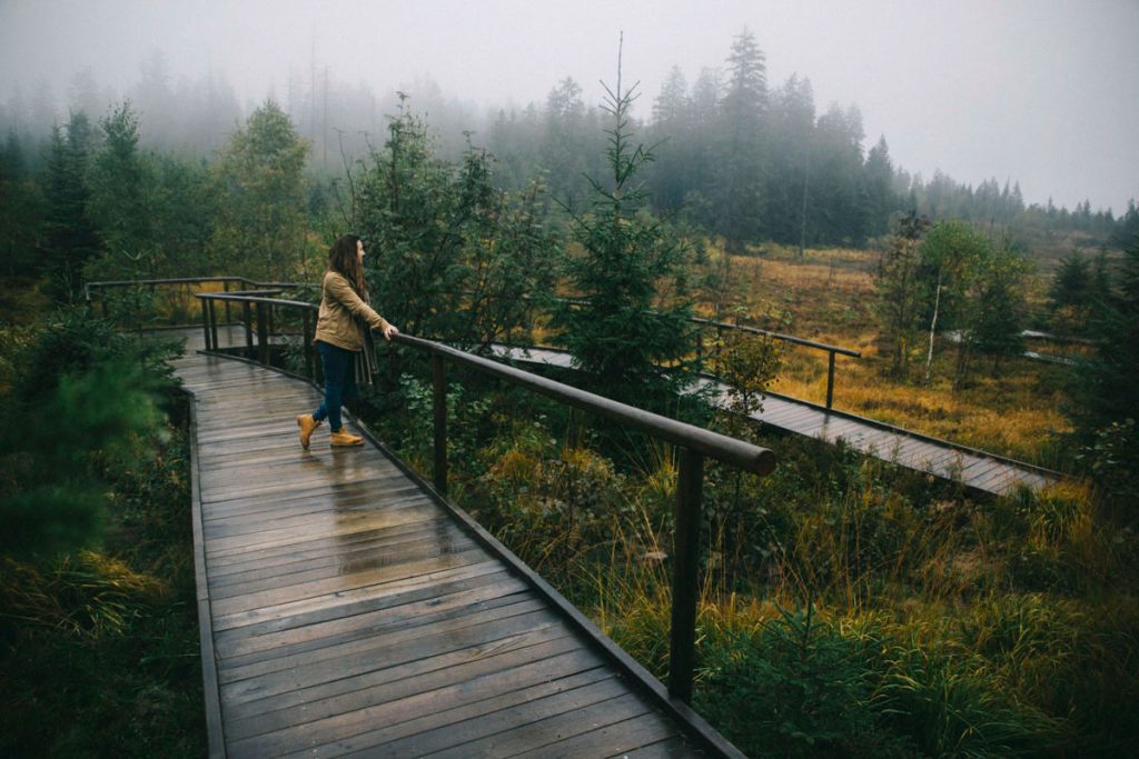 le sentier de randonnée de Lotherpafd dans la Forêt Noire