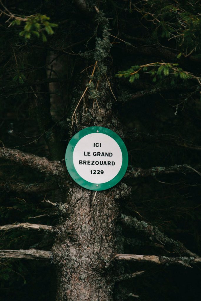 le sommet du grand Brézouard dans le massif des Vosges