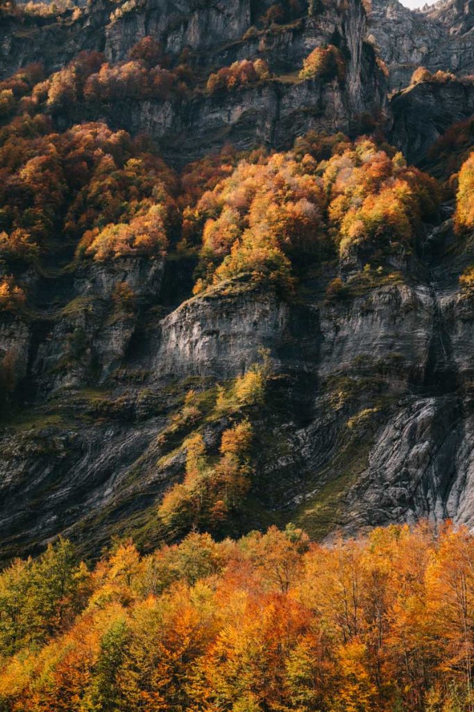 les paysages automnales de Sixt-fer-à-Cheval en Haute-Savoie en France. Crédit photo : Clara Ferrand