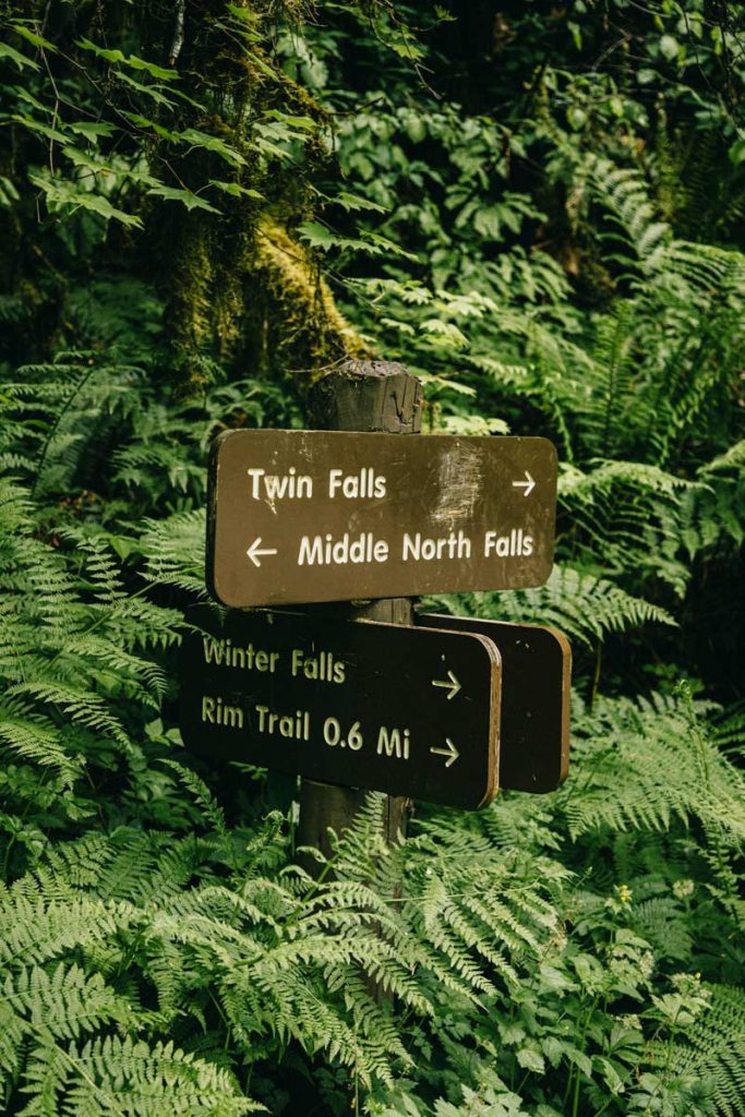 sentier de randonnée hike tten falls à silver fall state park en Oregon. crédit photo : Clara Ferrand