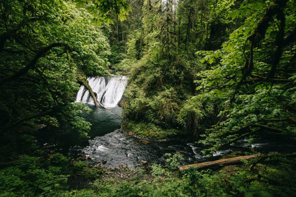 day-trip depuis Portland : ten trail fall dans Silver fall State Park. Crédit photo : Clara Ferrand