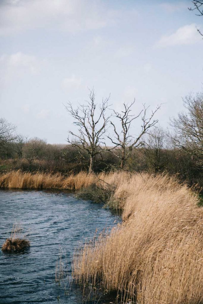 Les étangs du parc régional de la Brenne dans le Berry pour un week-end nature. crédit photo : Clara Ferrand - blog Wildroad