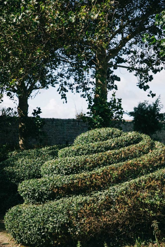 Le jardin botanique lors d'une visite sur l'île de Tatihou en Normandie. crédit photo : Clara Ferrand - blog Wildroad