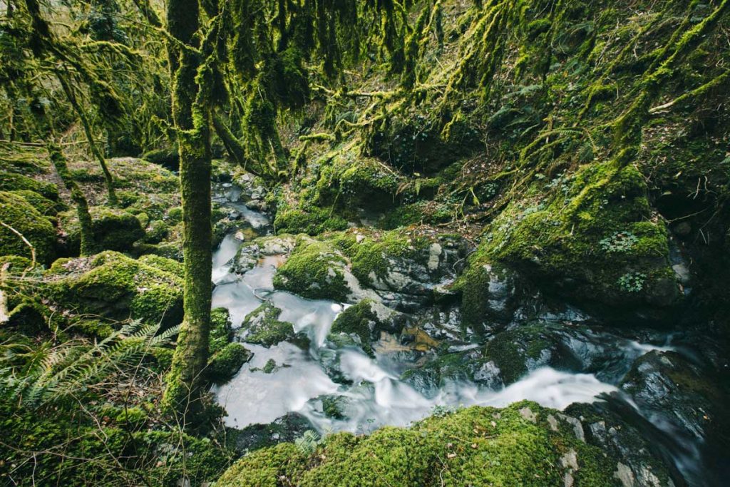 Un coin enchanteur caché dans le Berry : la cascade de Chatillon. crédit photo : Clara Ferrand - blog Wildroad