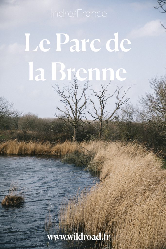 Passer un week-end à observer les oiseaux dans le parc régional de la Brenne dans le Berry. crédit photo : Clara Ferrand - blog Wildroad #berry #parcdelabrenne #weekend #france #indre 