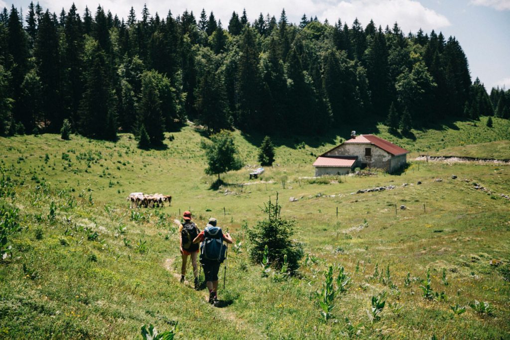 La combe aux chevre dans le parc naturel régional du Haut-Jura. crédit photo : Clara Ferrand - blog Wildroad
