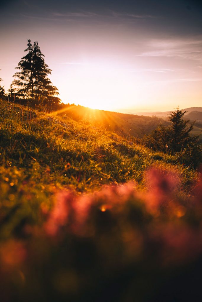 randonner dans le massif du Jura pendant 4 jours. crédit photo : Clara Ferrand - blog Wildroad