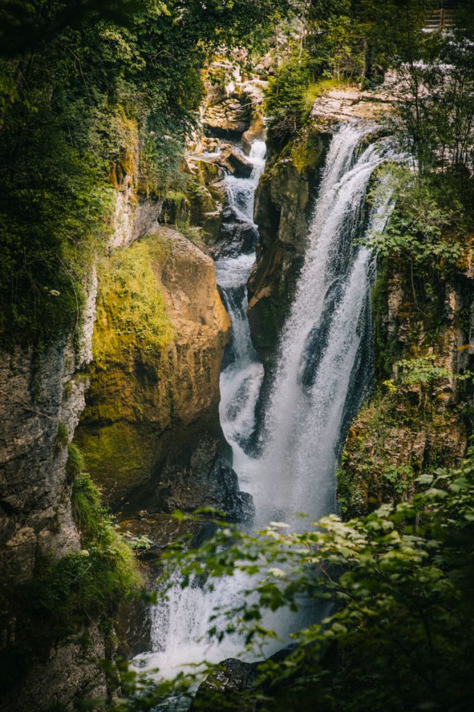 Les gorges de la langouette à Planche-les-montagnes dans le Haut Jura. crédit photo : Clara Ferrand - blog Wildroad