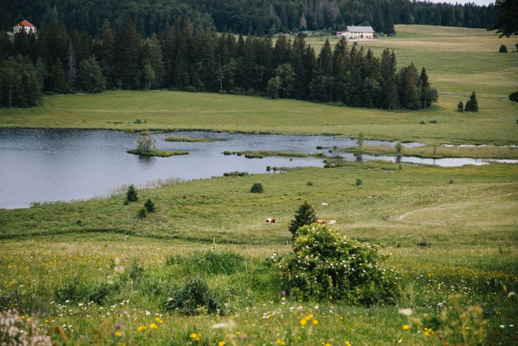 Le lac de bellifontaine dans le massif du Jura. crédit photo : Clara Ferrand - blog Wildroad