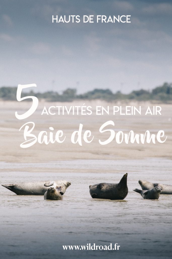 5 activités en plein air à faire lors d'un week-end en Baie de Somme autour du Crotoy. crédit photo : Clara Ferrand - blog Wildroad #hautsdefrance #baiedesomme #picardie #phoque #parcdumarquenterre #randonnee #hiking