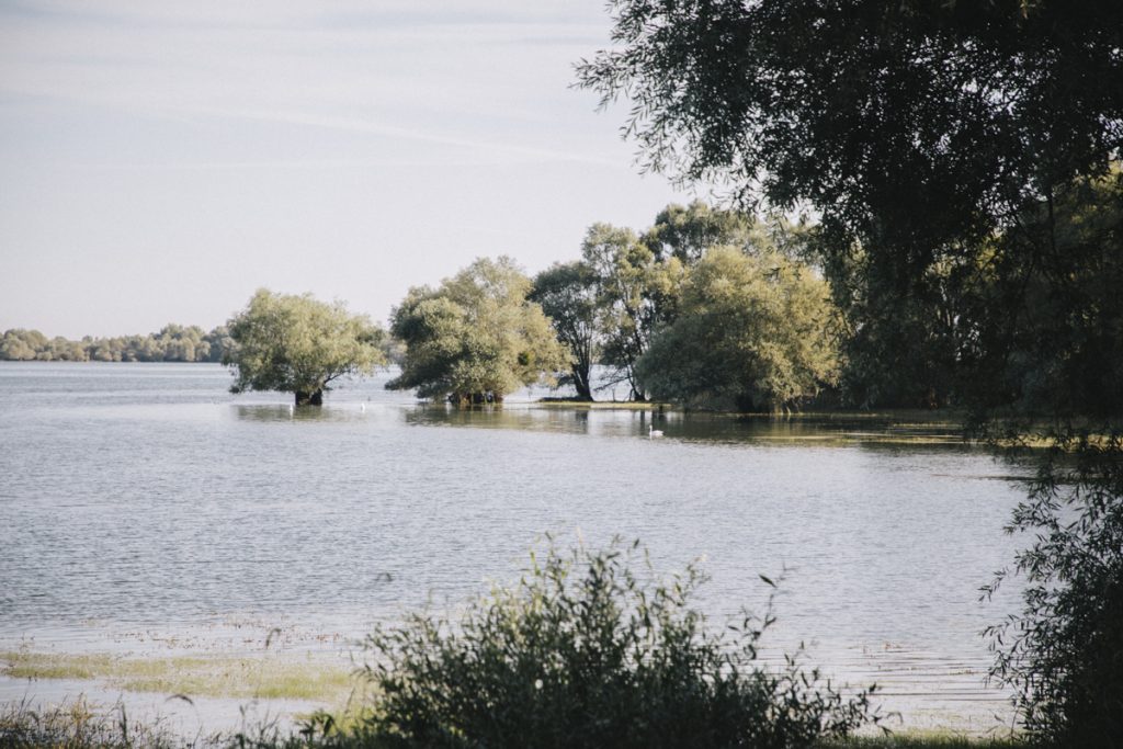 Le lac du temple dans le parc naturel régional de la forêt d'Orient aux alentours de Troyes. crédit photo : Clara Ferrand - blog Wildroad