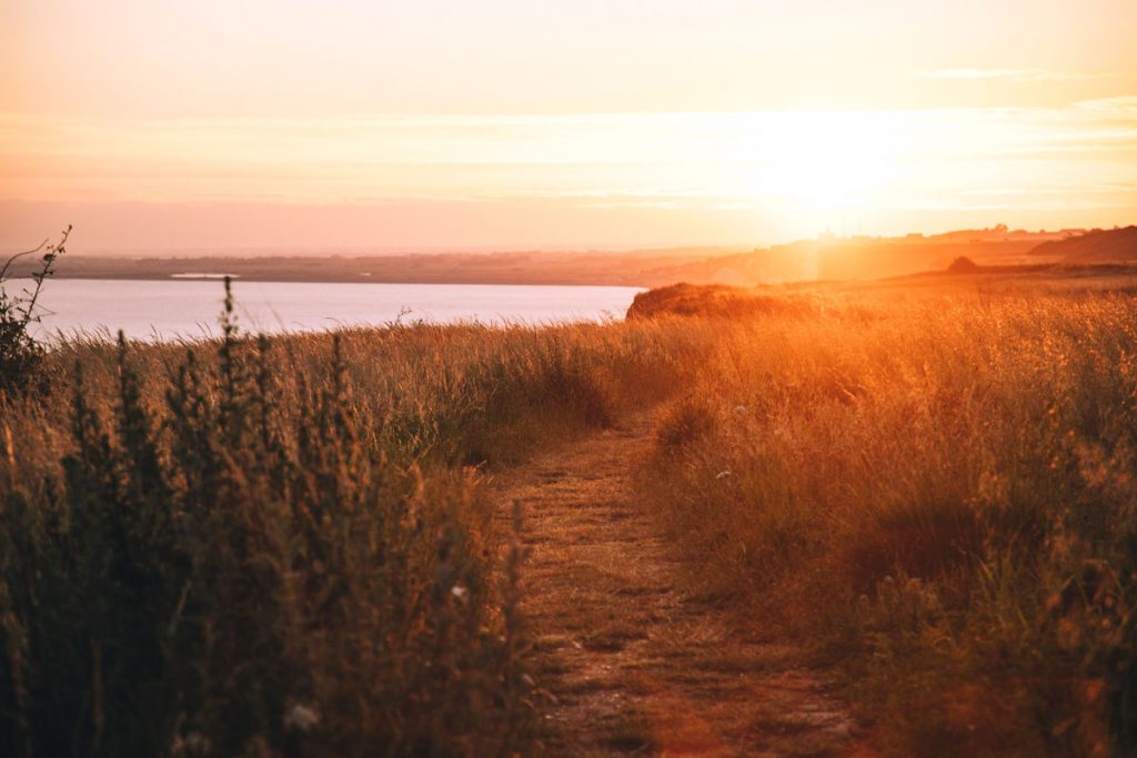 Le sentier du littoral une randonnée incontournable de la baie de Somme. crédit photo : Clara Ferrand - blog Wildroad