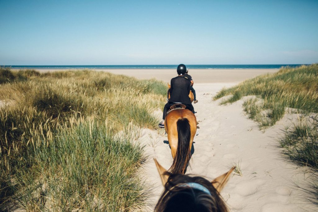 Balade à cheval sur la plage dans la baie de Somme. crédit photo : Clara Ferrand - blog Wildroad