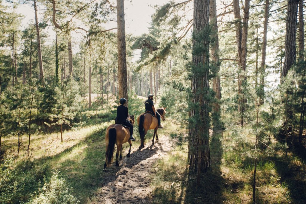 Balade à cheval dans le domaine du marqueterie avec le centre équestre Henson. crédit photo : Clara Ferrand - blog Wildroad