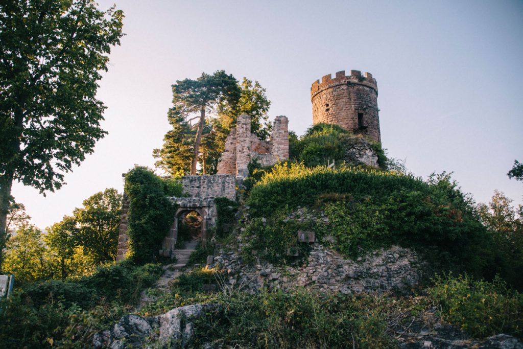 Faire la randonnée de Ribeauvillé jusqu'au château de ribeaupierre. crédit photo : Clara Ferrand - blog Wildroad