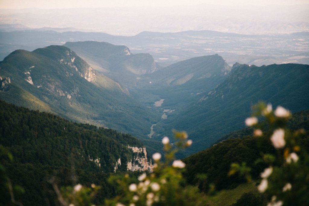 Le synclinal de la forêt de Saou dans la Drôme. crédit photo : Clara Ferrand - blog Wildroad