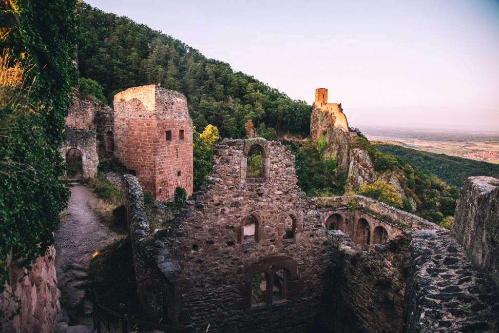 Randonnée incontournable du massif des Vosges : les 3 châteaux de Ribeauvillé. crédit photo : Clara Ferrand - blog Wildroad