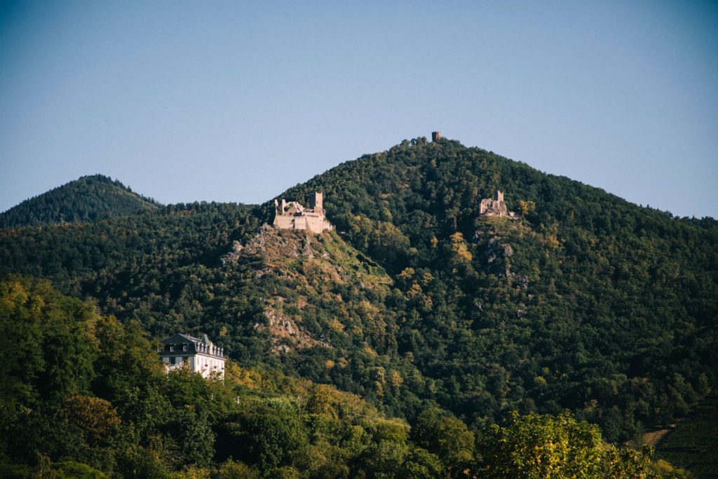 Les 3 châteaux de Ribauvillé vue depuis le bas du village en partant vers riquewhir. crédit photo : Clara Ferrand - blog Wildroad