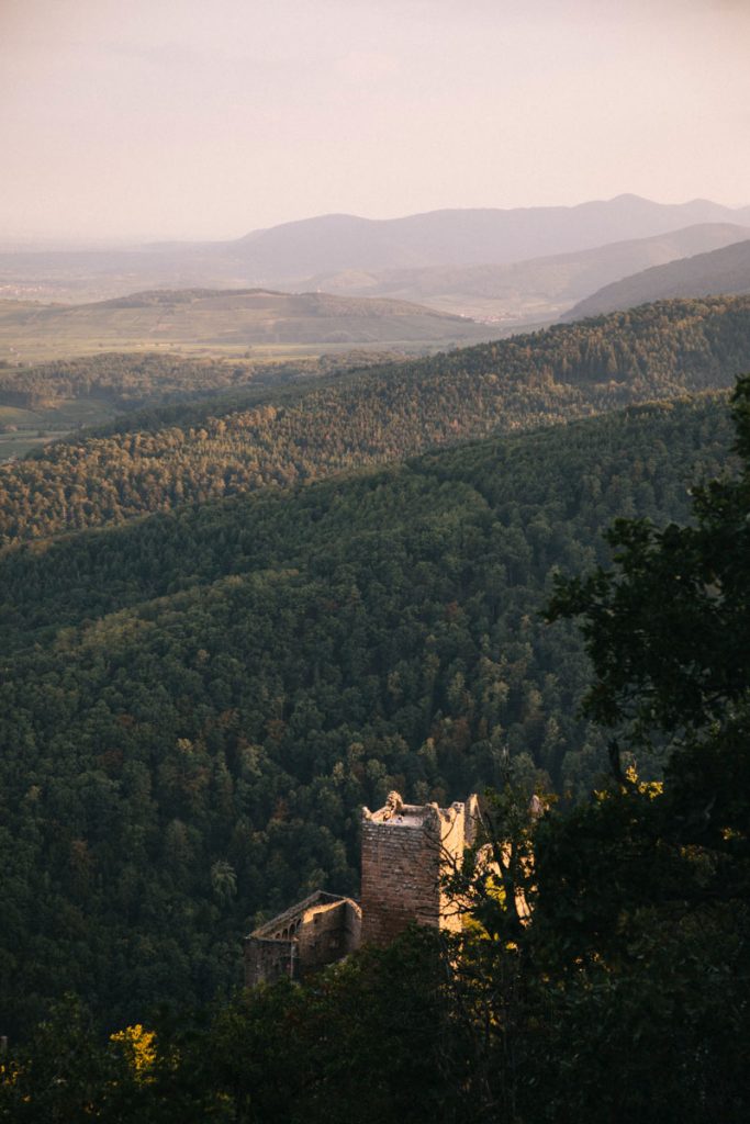 Le château de Saint-Ulrich vu du chemin qui mène à Haut Ribeaupierre. crédit photo : Clara Ferrand - blog Wildroad