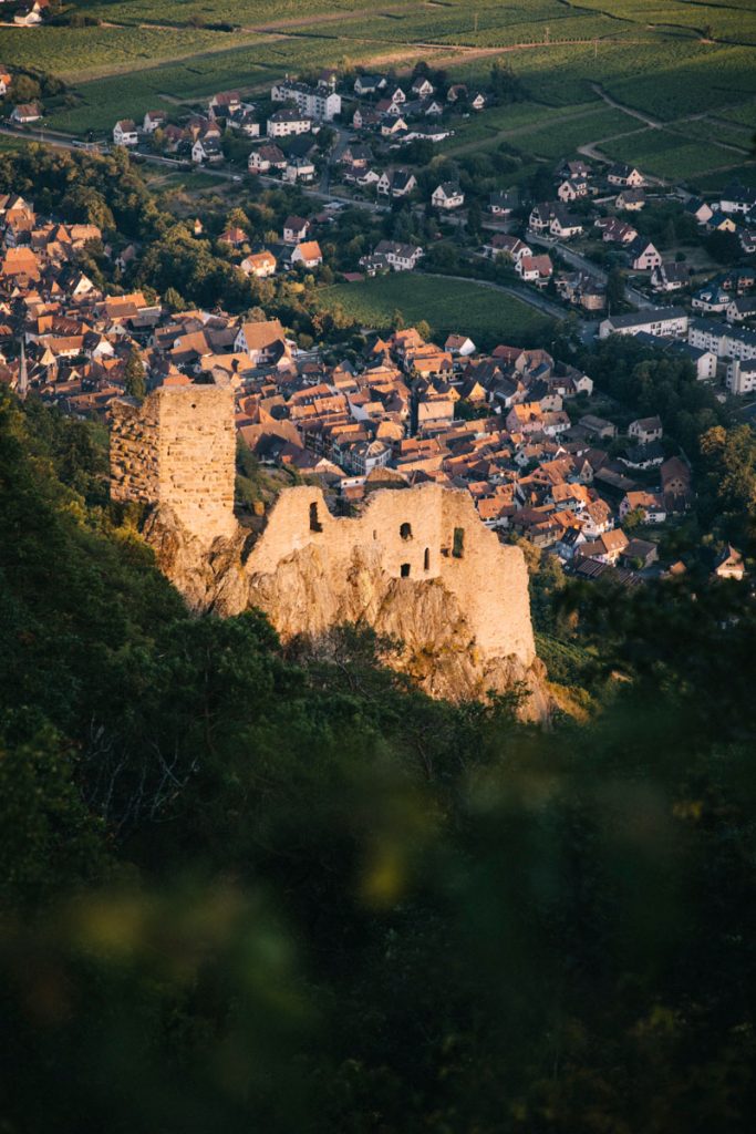 Le château de Girsberg au dessus de Ribeauvillé en Alsace dans le massif des Vosges. crédit photo : Clara Ferrand - blog wildroad