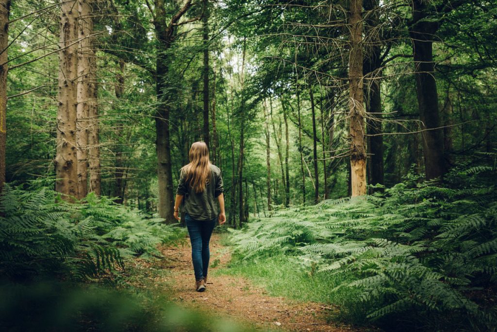 Randonné dans la forêt de Crécy dans la baie de Somme. crédit photo : Clara Ferrand - blog Wildroad