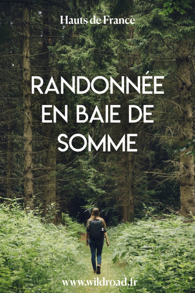 Les plus belles randonnée de la baie de Somme à faire en un week-end. crédit photo : Clara Ferrand - blog Wildroad #hautsdefrance #randonnée #hiking #baiedesomme #travelblog #france #ideeweekend