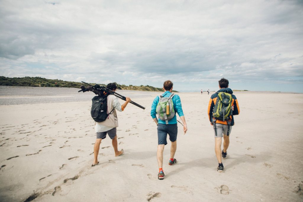 Randonnée dans la baie de Somme pour observer les phoques avec le guide nature Maxime. crédit photo : Clara Ferrand - blog Wildroad