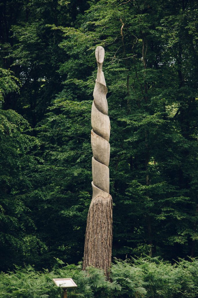Les randonnée et les sentiers de découverte dans la forêt de Crécy en baie de Somme. crédit photo : Clara Ferrand - blog Wildroad
