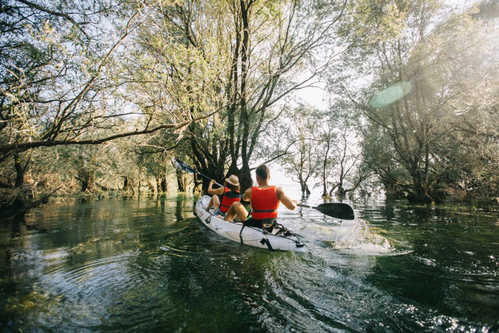 Sortie en canoë dans la foret immergée sur les lacs de la forêt d'Orient. crédit photo : Clara Ferrand - blog Wildroad