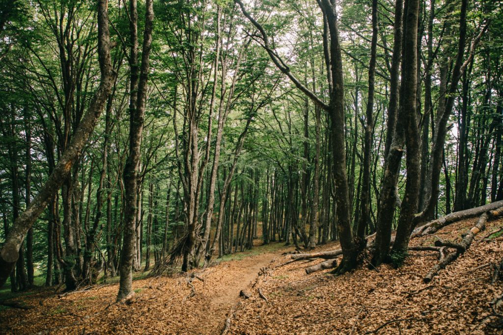 Le GR9 sur le sentier de la randonnée des 3 becs. crédit photo : Clara Ferrand - blog Wildroad