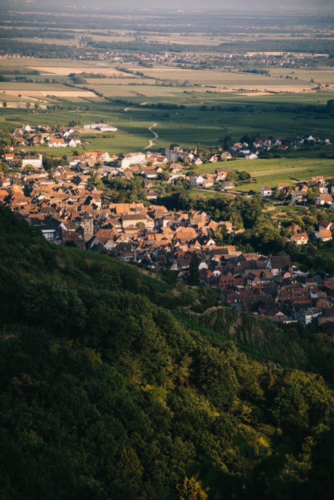 La vue sur Ribeauvillé depuis le panorama des 3 châteaux. crédit photo : Clara Ferrand - blog Wildroad