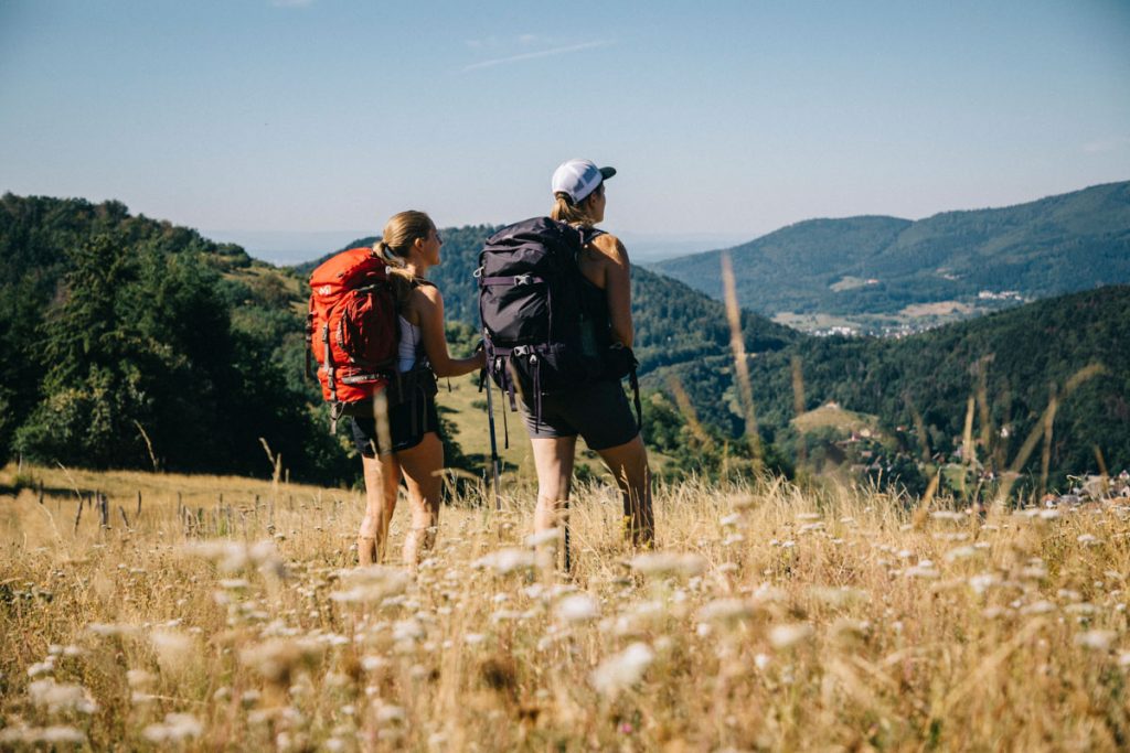 La vue depuis le col de Hundsruck en Alsace. crédit photo : Clara Ferrand - blog Wildroad