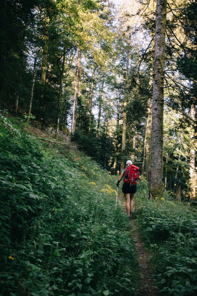 Le sentier de randonnée itinérante de la grande traversée des vosges. crédit photo : clara Ferrand - blog Wildroad