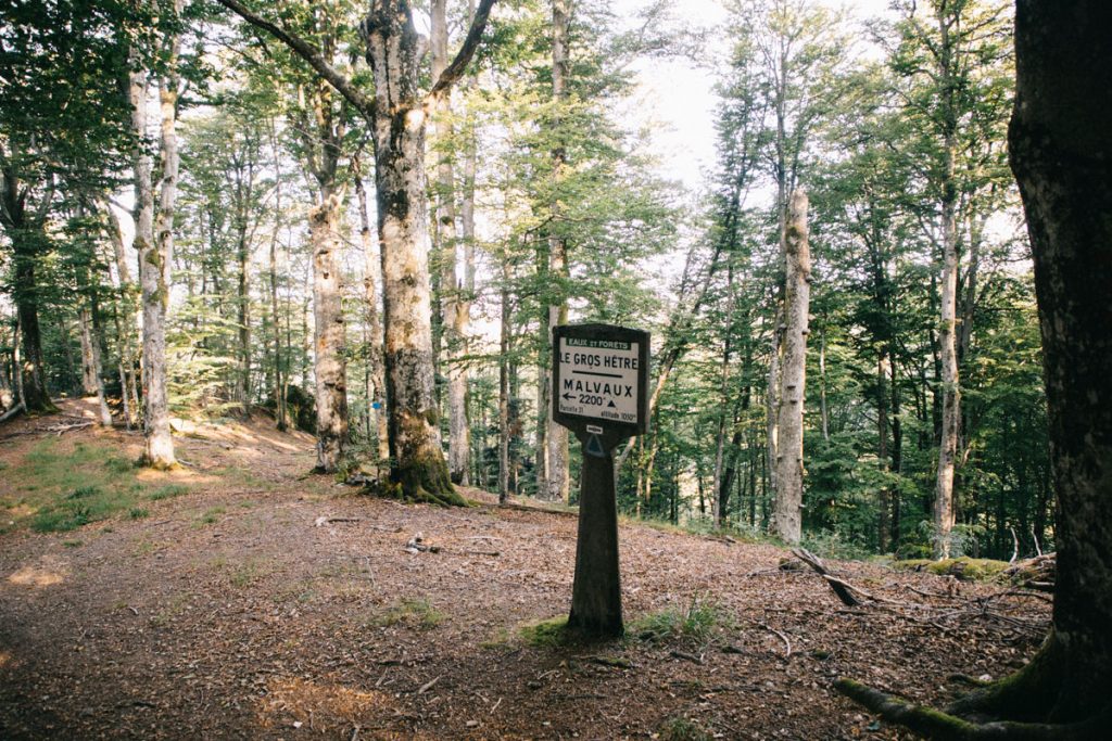 Le sentier de randonnée du Wissgurt à Giromany par le forêt du gros hêtre. crédit photo : Clara Ferrand - blog Wildroad
